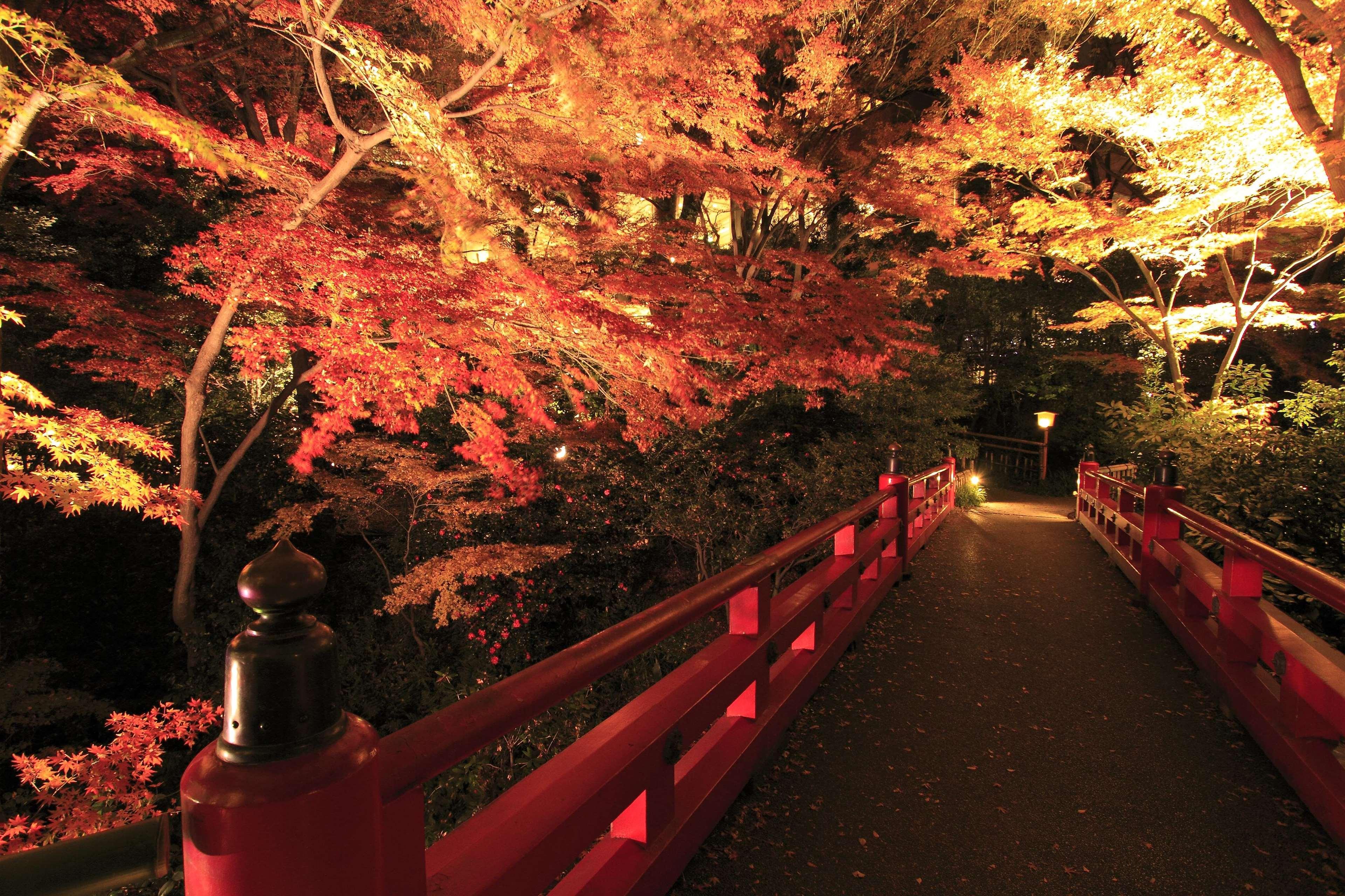 Hotel Chinzanso Tokyo Tóquio Exterior foto